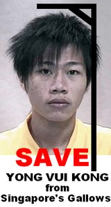 where can you buys foam beads in hong kong